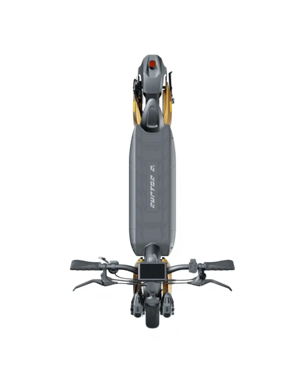 Hulajnoga elektryczna Dualtron Eagle Pro                 (4)